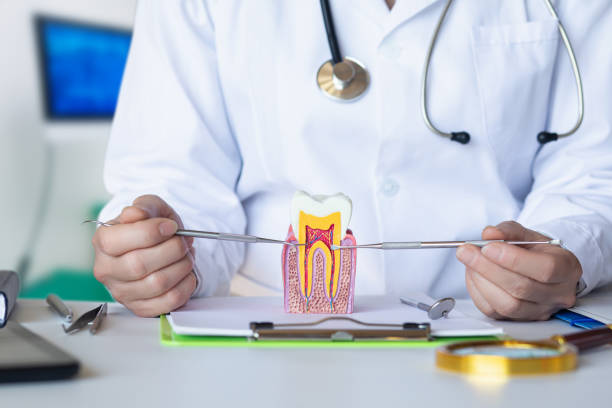 Best Emergency Dental Services for Seniors in Brooklyn, NY